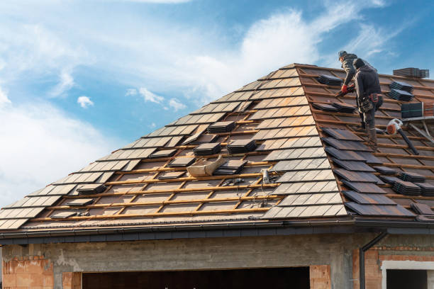 Best Roof Ventilation Installation  in West Van Lear, KY